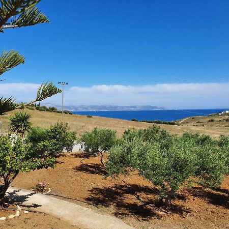 Anthoula'S Sea View Apartment Piso Livadi Eksteriør bilde