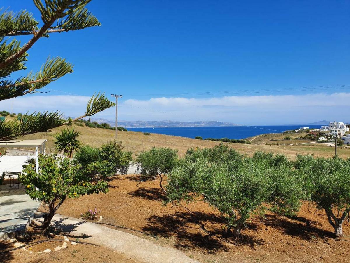 Anthoula'S Sea View Apartment Piso Livadi Eksteriør bilde