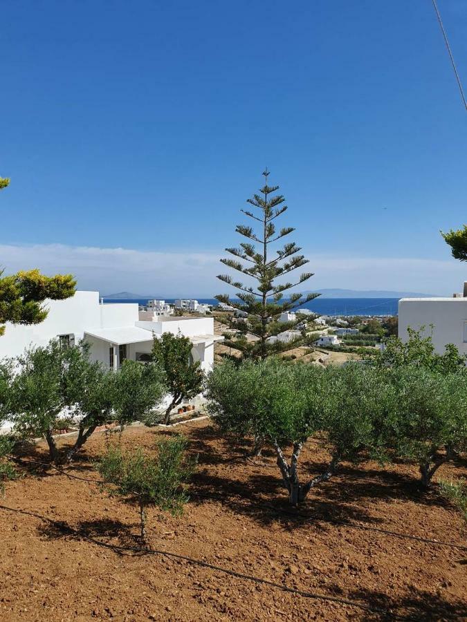 Anthoula'S Sea View Apartment Piso Livadi Eksteriør bilde